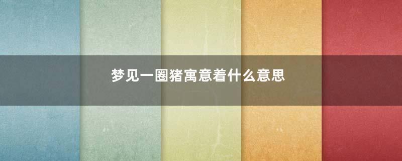 梦见一圈猪寓意着什么意思