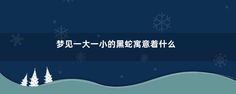 梦见一大一小的黑蛇寓意着什么