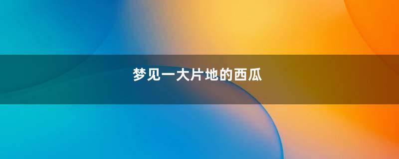 梦见一大片地的西瓜