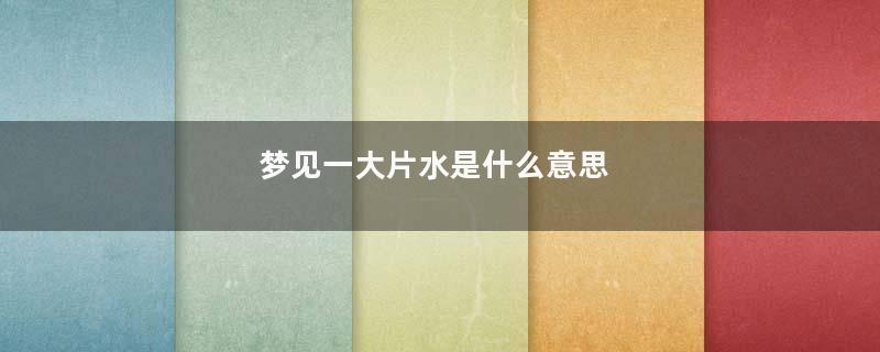 梦见一大片水是什么意思