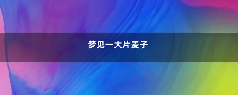 梦见一大片麦子