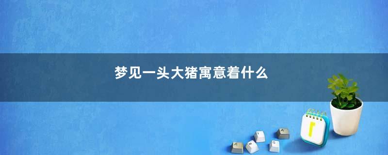 梦见一头大猪寓意着什么