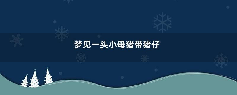 梦见一头小母猪带猪仔