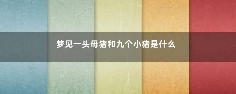 梦见一头母猪和九个小猪是什么意思