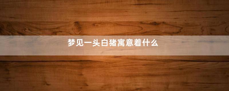 梦见一头白猪寓意着什么