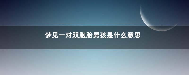 梦见一对双胞胎男孩是什么意思是什么意思