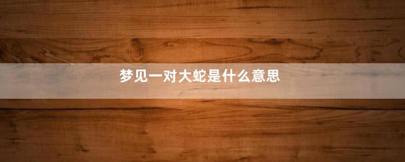 梦见一对大蛇是什么意思