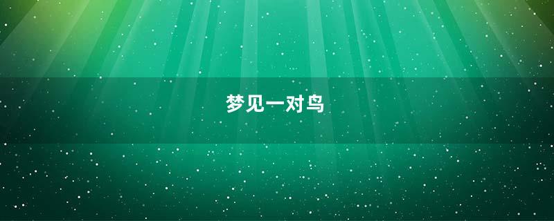 梦见一对鸟