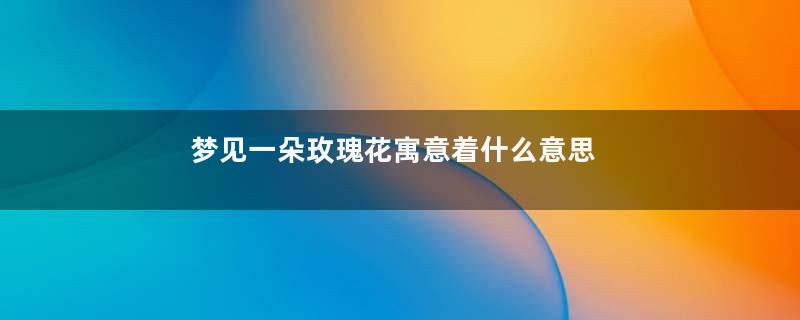 梦见一朵玫瑰花寓意着什么意思