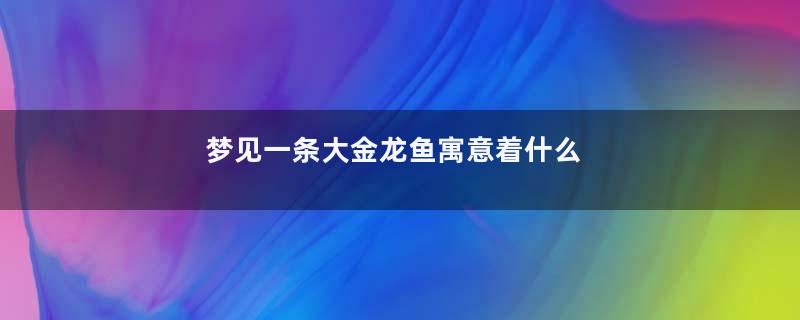 梦见一条大金龙鱼寓意着什么