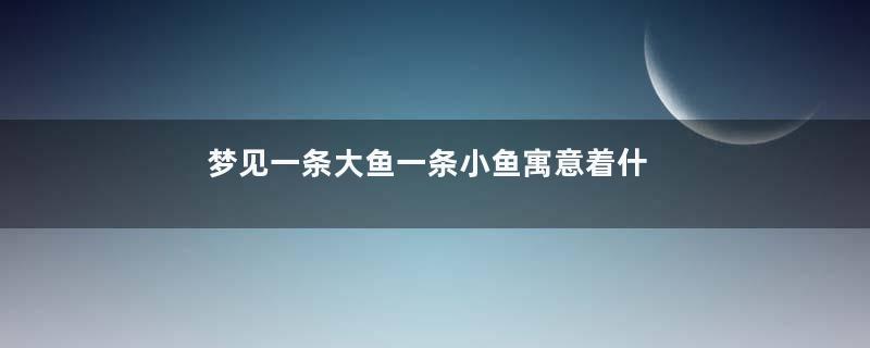 梦见一条大鱼一条小鱼寓意着什么