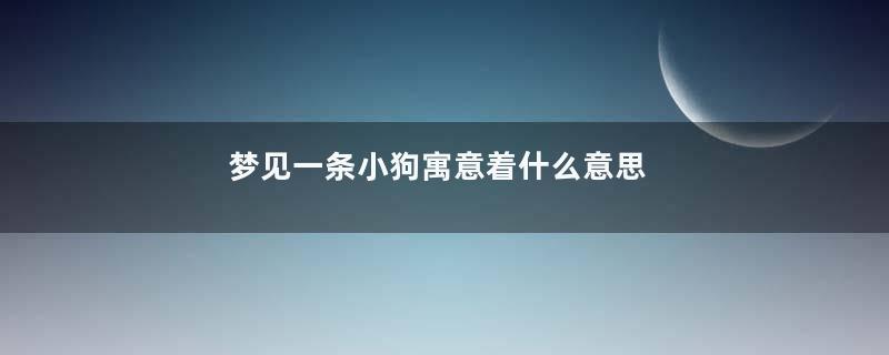 梦见一条小狗寓意着什么意思
