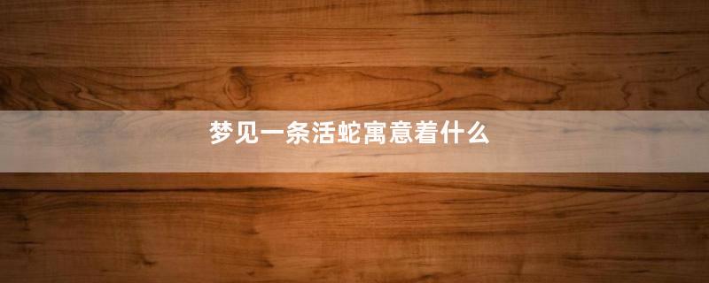 梦见一条活蛇寓意着什么