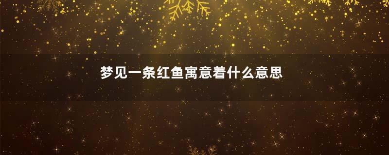 梦见一条红鱼寓意着什么意思