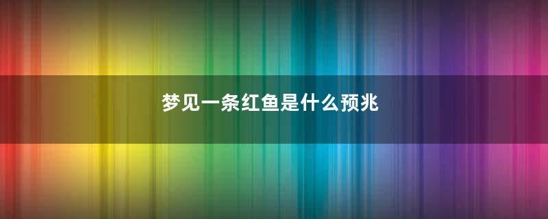 梦见一条红鱼是什么预兆