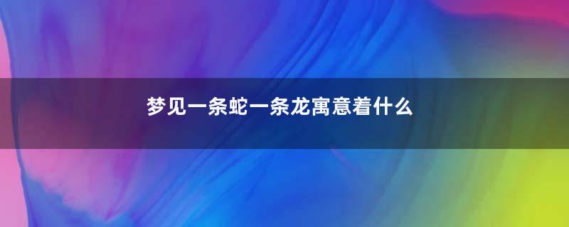 梦见一条蛇一条龙寓意着什么