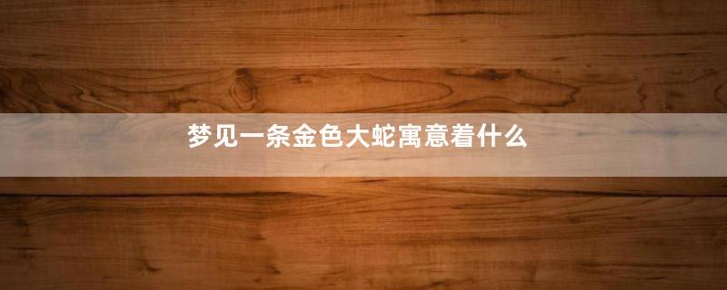 梦见一条金色大蛇寓意着什么
