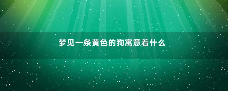 梦见一条黄色的狗寓意着什么
