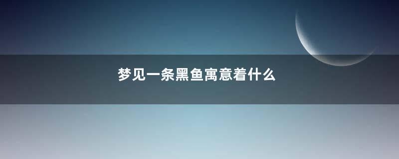 梦见一条黑鱼寓意着什么