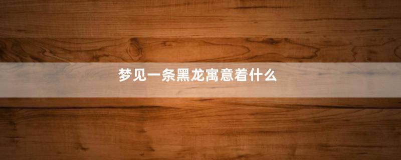 梦见一条黑龙寓意着什么