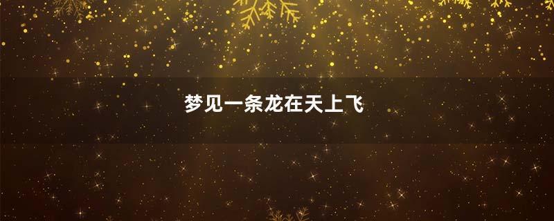 梦见一条龙在天上飞
