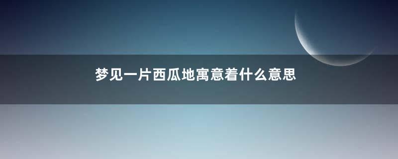 梦见一片西瓜地寓意着什么意思