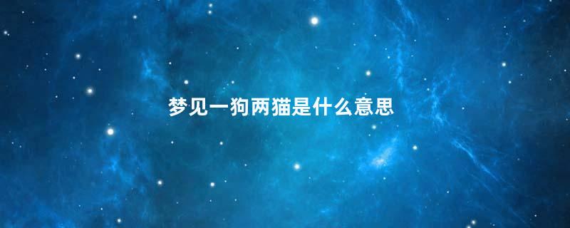 梦见一狗两猫是什么意思