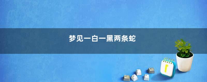 梦见一白一黑两条蛇
