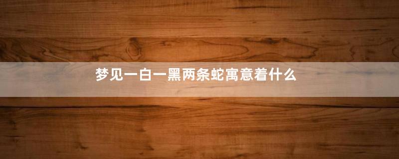 梦见一白一黑两条蛇寓意着什么