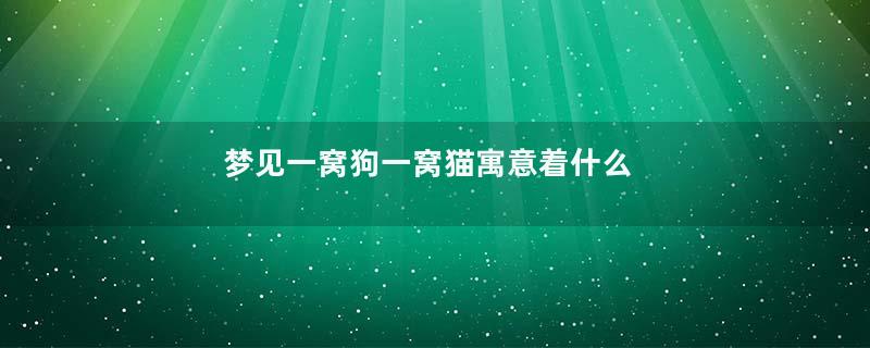 梦见一窝狗一窝猫寓意着什么