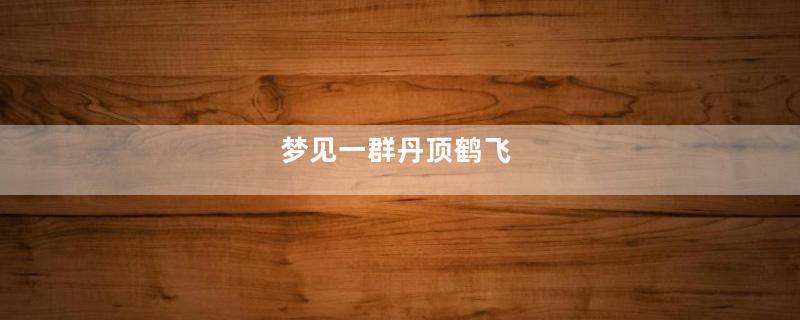 梦见一群丹顶鹤飞