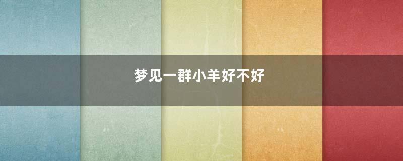 梦见一群小羊好不好