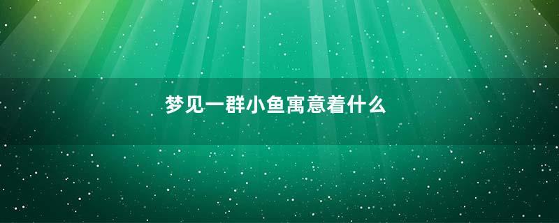 梦见一群小鱼寓意着什么