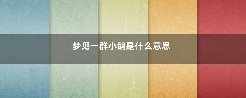 梦见一群小鹅是什么意思