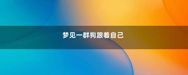 梦见一群狗跟着自己