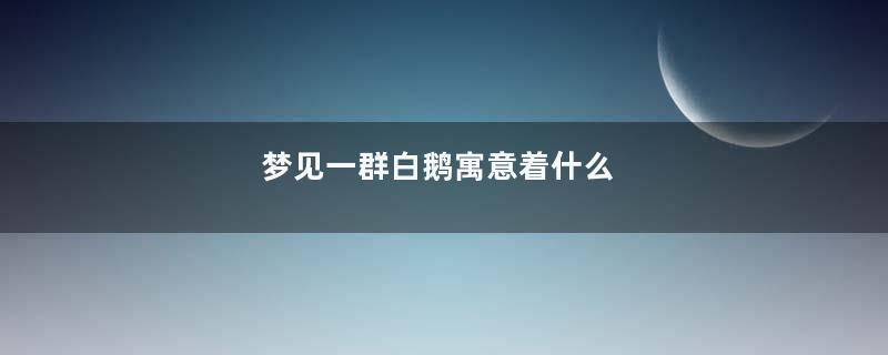 梦见一群白鹅寓意着什么