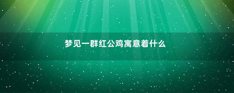 梦见一群红公鸡寓意着什么