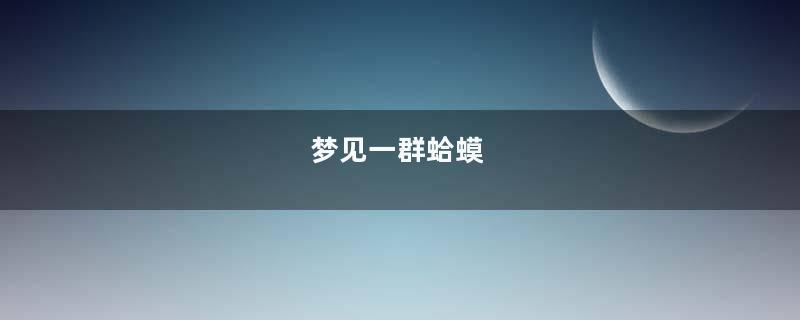 梦到一群蛤蟆