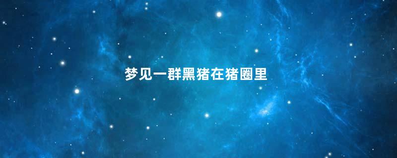 梦见一群黑猪在猪圈里