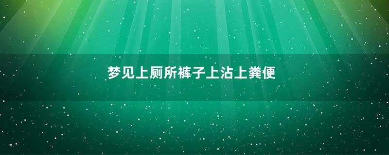 梦到上厕所裤子上沾上粪便