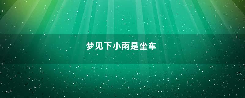 梦见下小雨是坐车