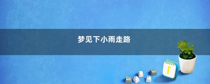 梦见下小雨走路