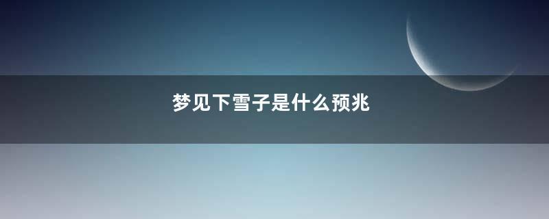 梦见下雪子是什么预兆
