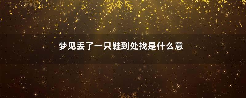 梦见丢了一只鞋到处找是什么意思