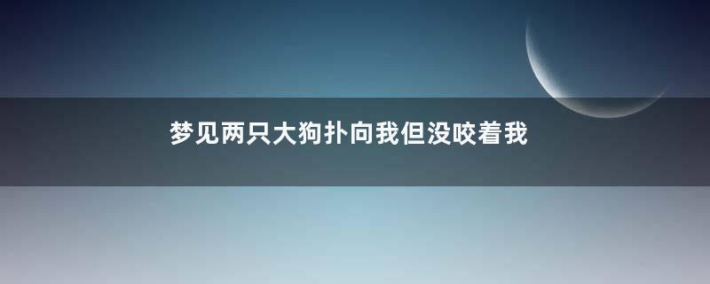 梦见两只大狗扑向我但没咬着我是什么意思