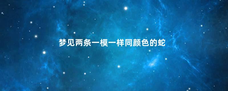 梦见两条一模一样同颜色的蛇
