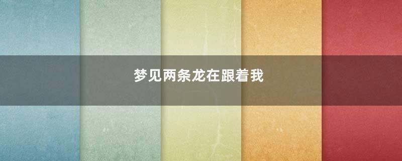 梦见两条龙在跟着我