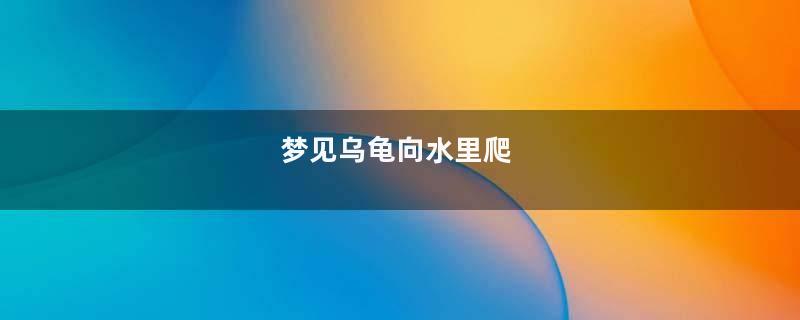 梦见乌龟向水里爬