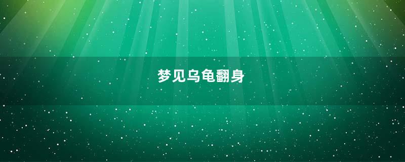 梦见乌龟翻身