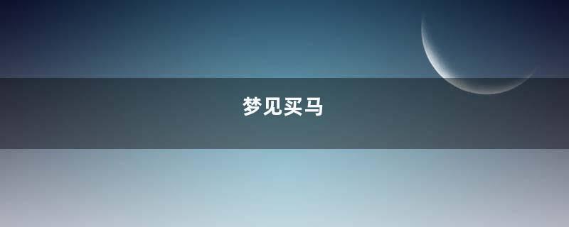 梦到买马